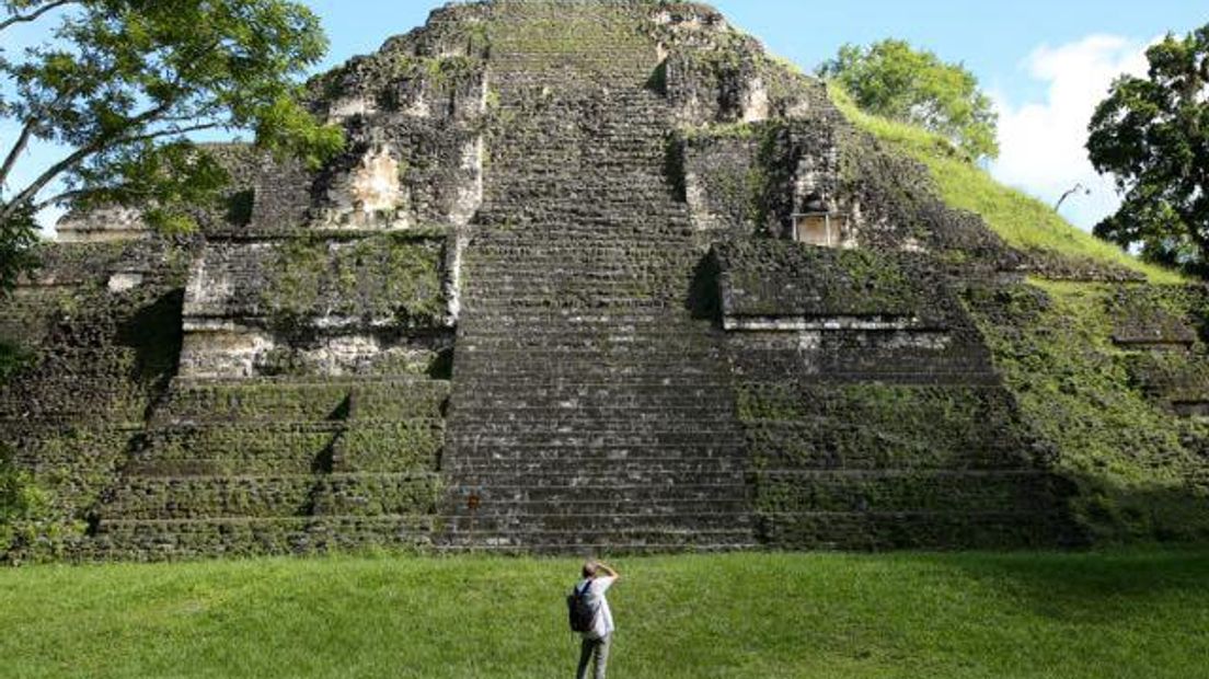 Nationaal Park Tikal in Guatemala (Rechten: Edwin van Stenis / RTV Drenthe)