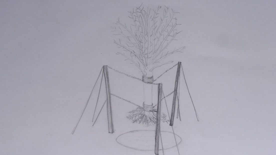 In Velp is dinsdag een boom uitgegraven en daarna drie meter boven de grond opgehangen. De 35 jaar oude plataan wordt zonder contact met de grond kunstmatig in leven gehouden. Het project, De Ontaarde Boom, is een idee van de Utrechtse kunstenaar Daan van Geijlswijk.