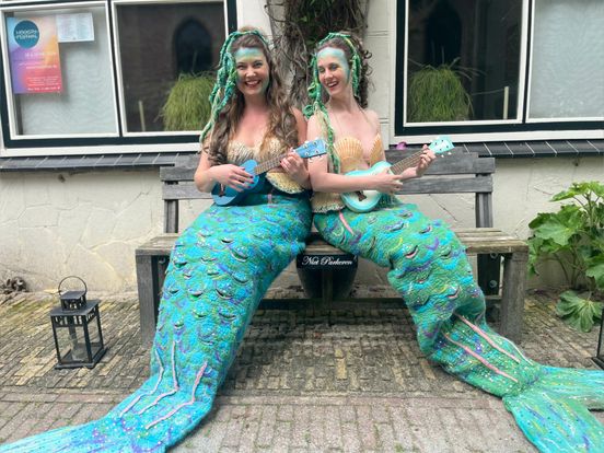 Klassieke klanken en zingende zeemeerminnen: 'De mooie dingen pik je mee op het Hoogtij Festival'