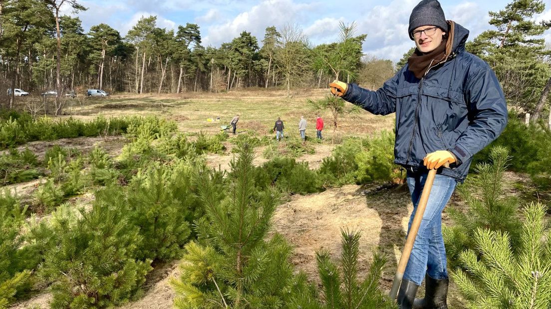 Omplanten van bomen