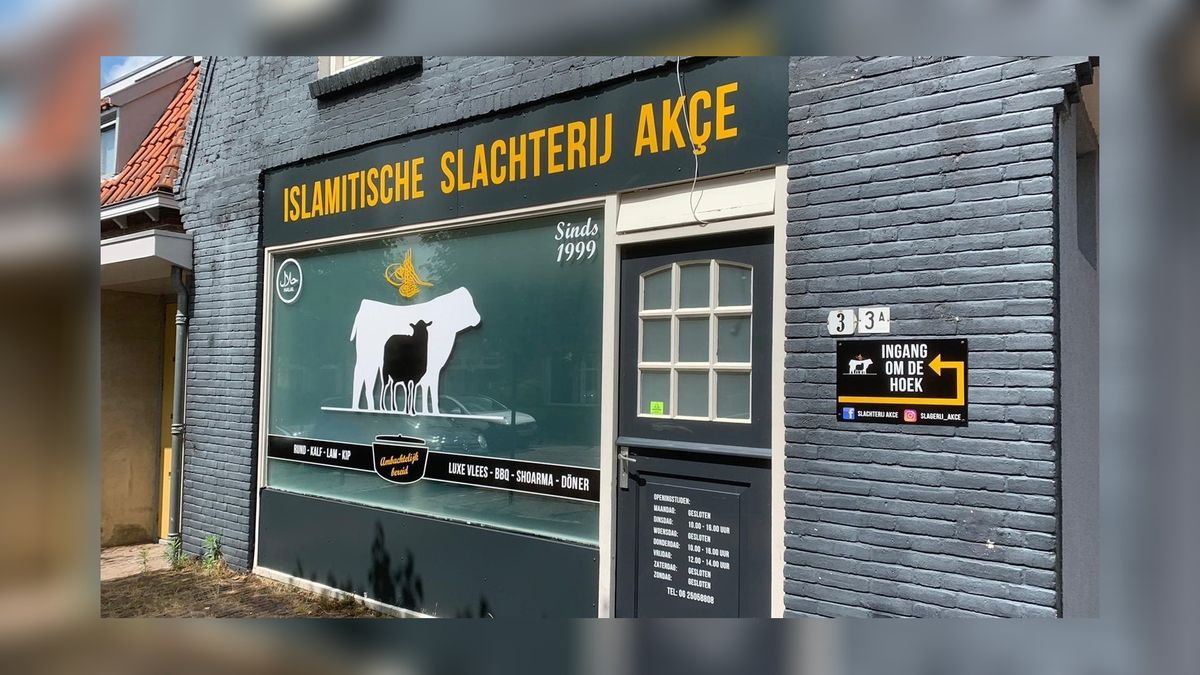 VIDEO: Islamitische slagerij slacht lammeren voor Offerfeest