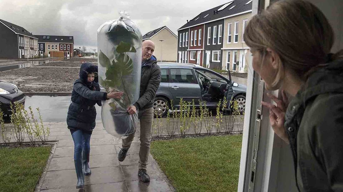 De planten worden alvast verhuisd om de woning sfeer te geven.