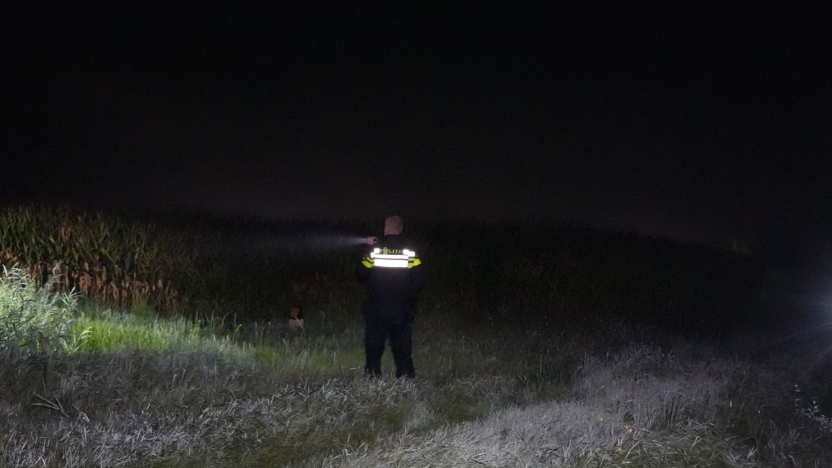 Verdachte van poging tot inbraak verstopt zich in maïsveld bij Rogat