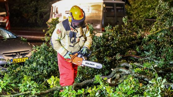 Boom op weg • fietser gewond