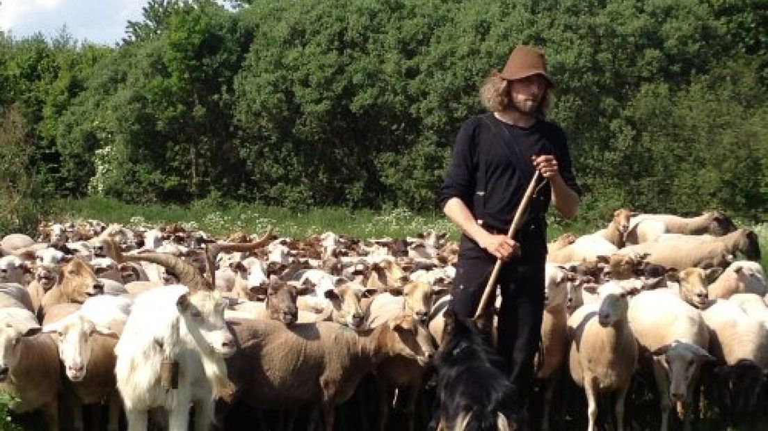 Herders met 400 schapen door Arnhem