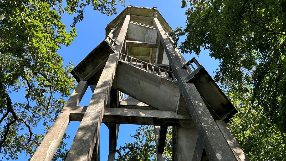 Onenigheid over uitkijktoren Belvedère bij Oranjewoud: hoe moet het verder?
