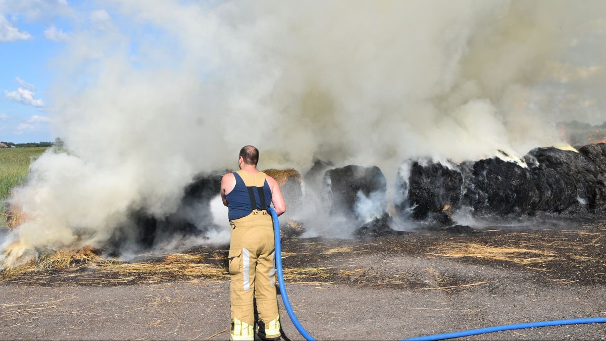 112 Nieuws: Hooi gaat in vlammen op in Ossenzijl