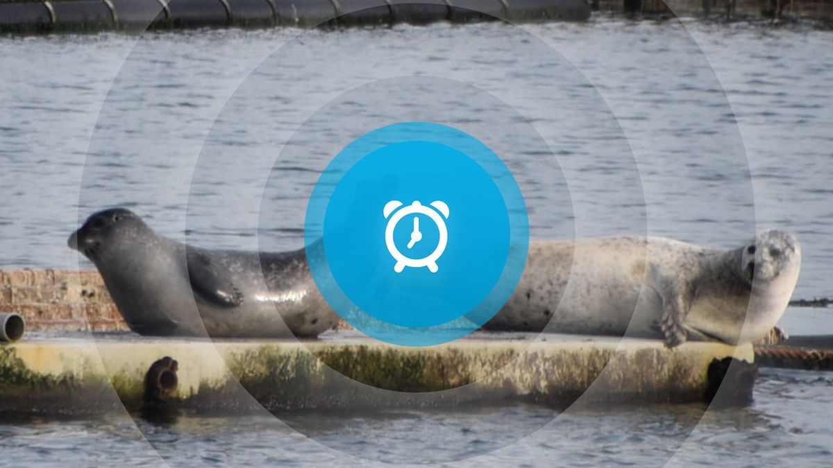 Goedemorgen! Donker Middelburg, Sunshine Cleaners, geen ethaankraker!