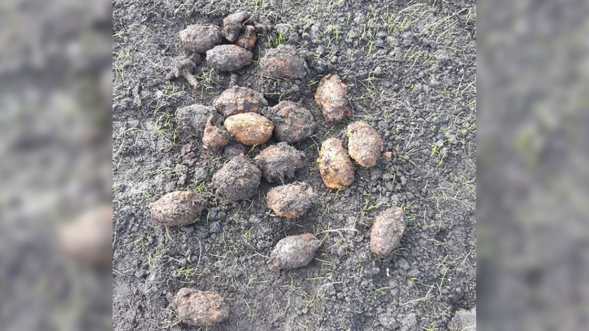 38 handgranaten gevonden op boerenland bij Aldeboarn
