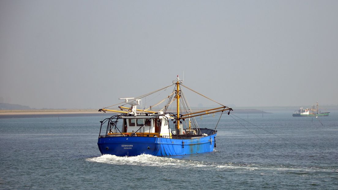 Mosselkotters op de Oosterschelde.