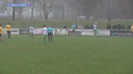 Flauw of fun: Podcastgast Vos onderdeel van Fabeltjeskrant