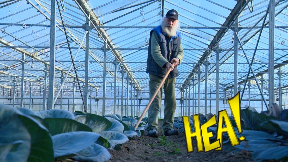 HEA! Tuinder voor het leven