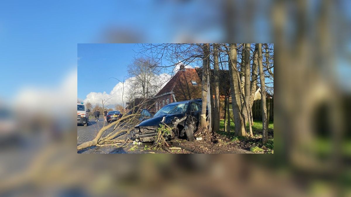 Auto botst tegen boom na politieachtervolging bij Rottevalle