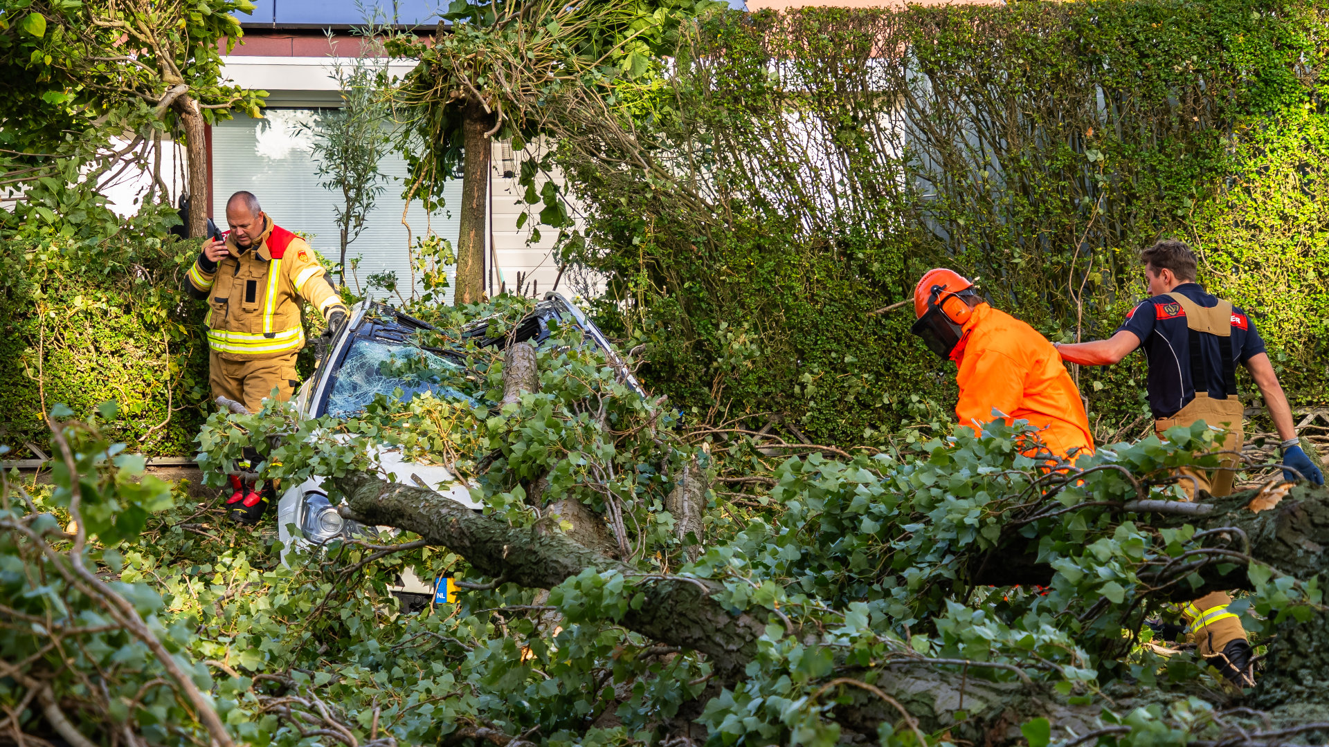 Auto total loss door vallende tak in Vlaardingen.