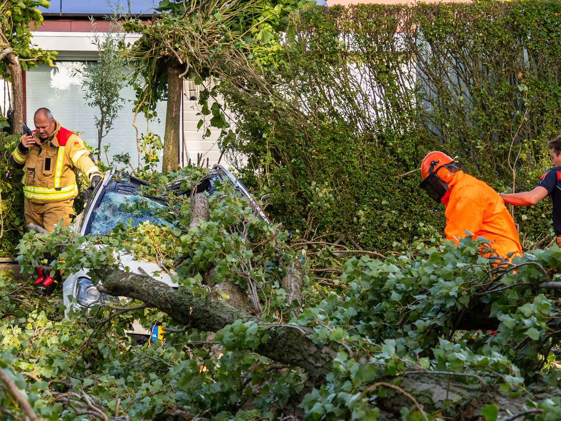 Auto total loss door vallende tak in Vlaardingen.