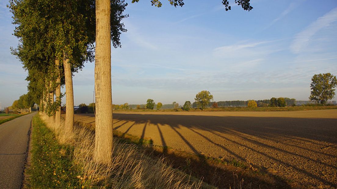 Ochtend met lange schaduwen in de polder bij 's-Heerenhoek