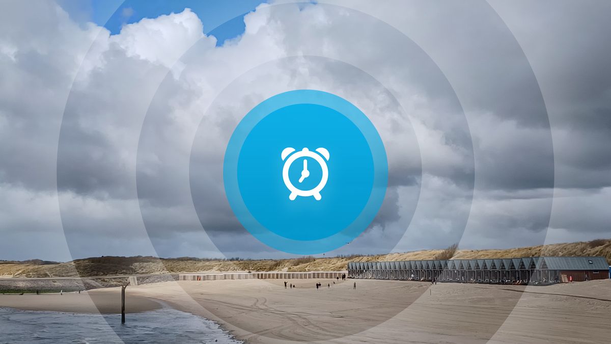 Goedemorgen! A58 wordt hersteld, Vlissingen zoekt lege kamers en rechtszaak ezel