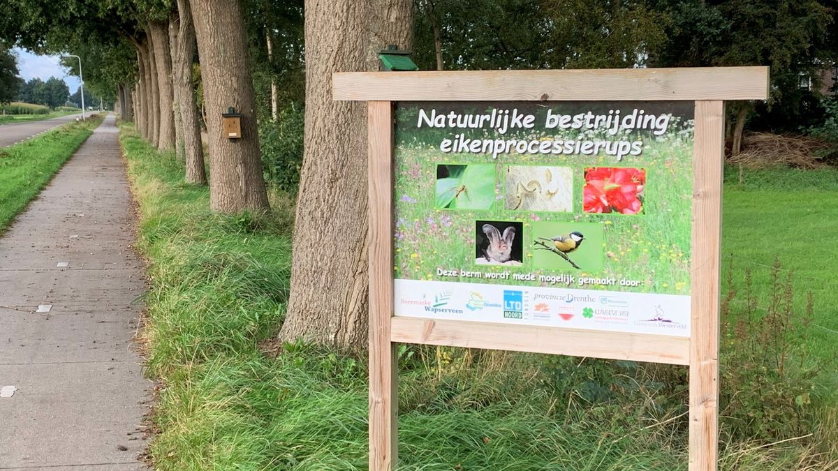 Drenthe komt met antwoord bij bestrijding eikenprocessierups