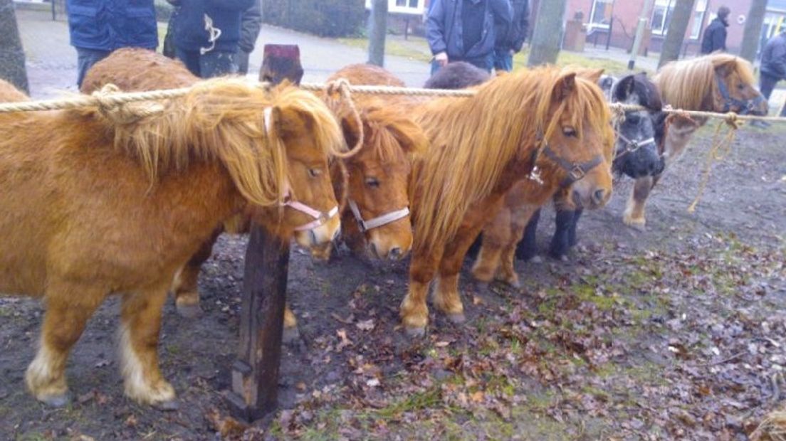 De Voorjaarsmarkt in Zuidlaren (Rechten: archief RTV Drenthe)