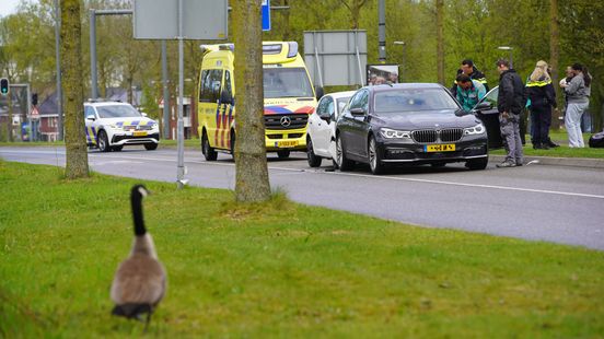 112 Nieuws: Overstekende ganzen veroorzaken ongeval in Deventer. 112 Nieuws: Overstekende ganzen veroorzaken ongeval in Deventer.