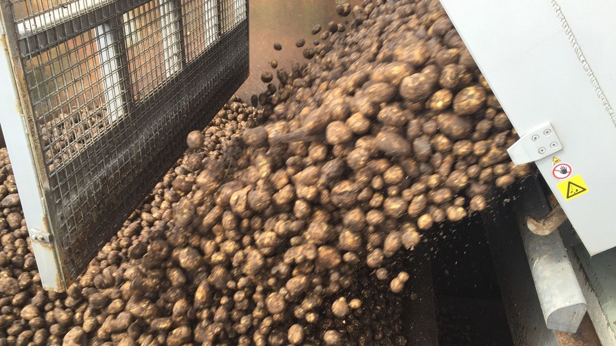 Verslaggever Steven Radersma neemt een kijkje bij de fabriek in Gasselternijveen