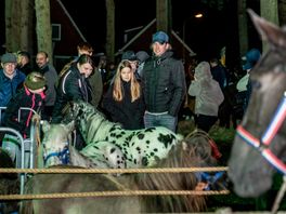 Kijk hier live naar de Zuidlaardermarkt