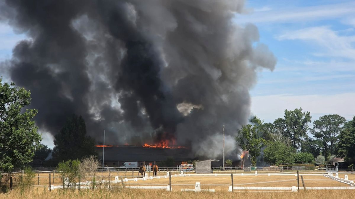 Uitslaande brand in paardenstal Clinge, rookwolken van ver te zien