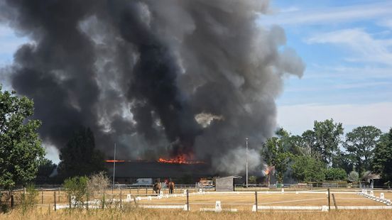 Twee paarden dood bij stalbrand in Clinge, roetdeeltjes dwarrelen in omgeving neer Nieuws