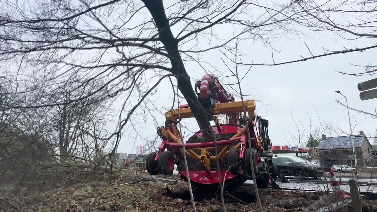 Grutte operaasje yn Jistrum om monumintale beam te ferhúzjen