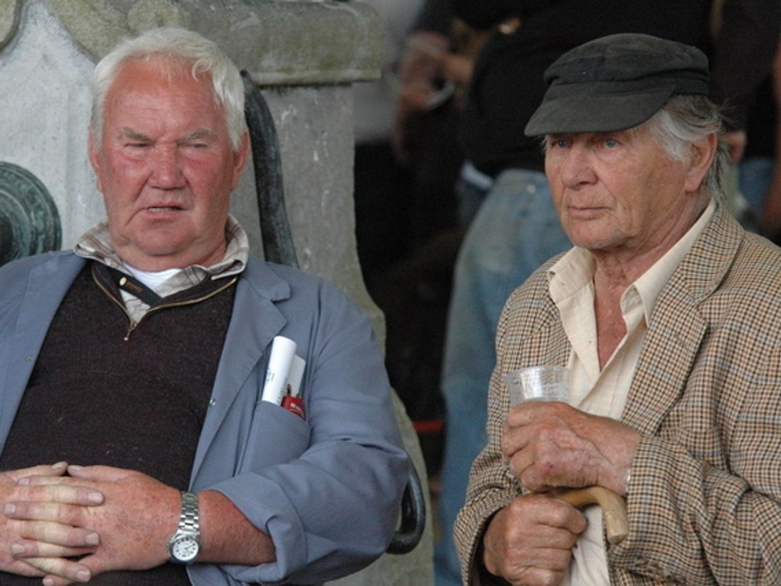 2010-paardenmarkt01.cropresize.tmp.jpg
