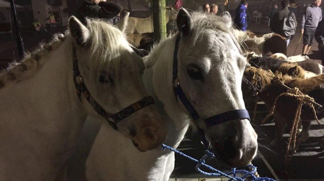 Ponymarkt in Heeten