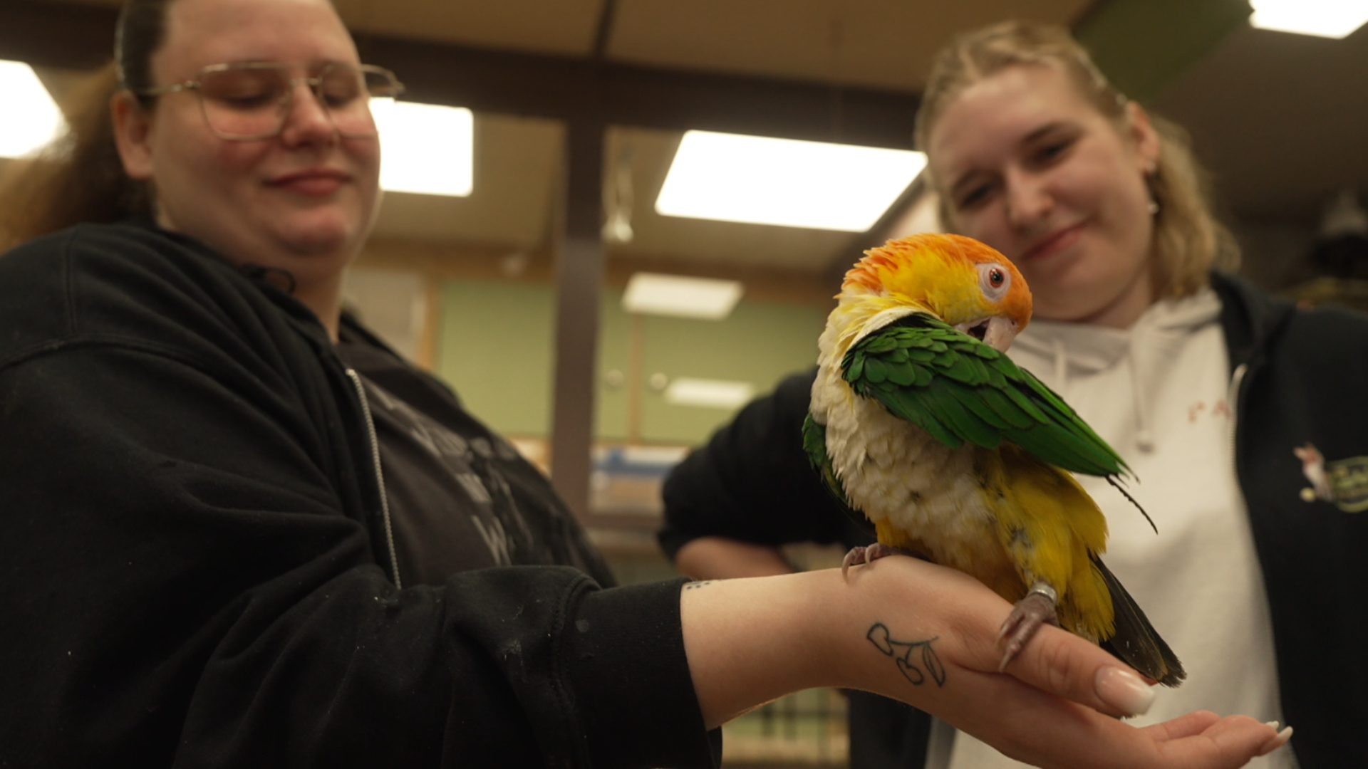 Dierenshop-medewerkers Daisy en Amanda zijn dolgelukkig dat Pino weer terug is.