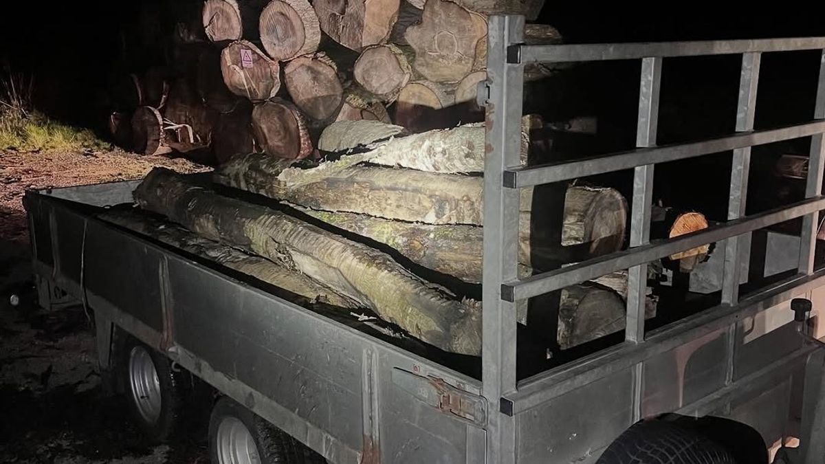 Houtdieven betrapt en aangehouden bij Kollumerpomp | A6 tussen Lemmer en Joure hele weekend dicht