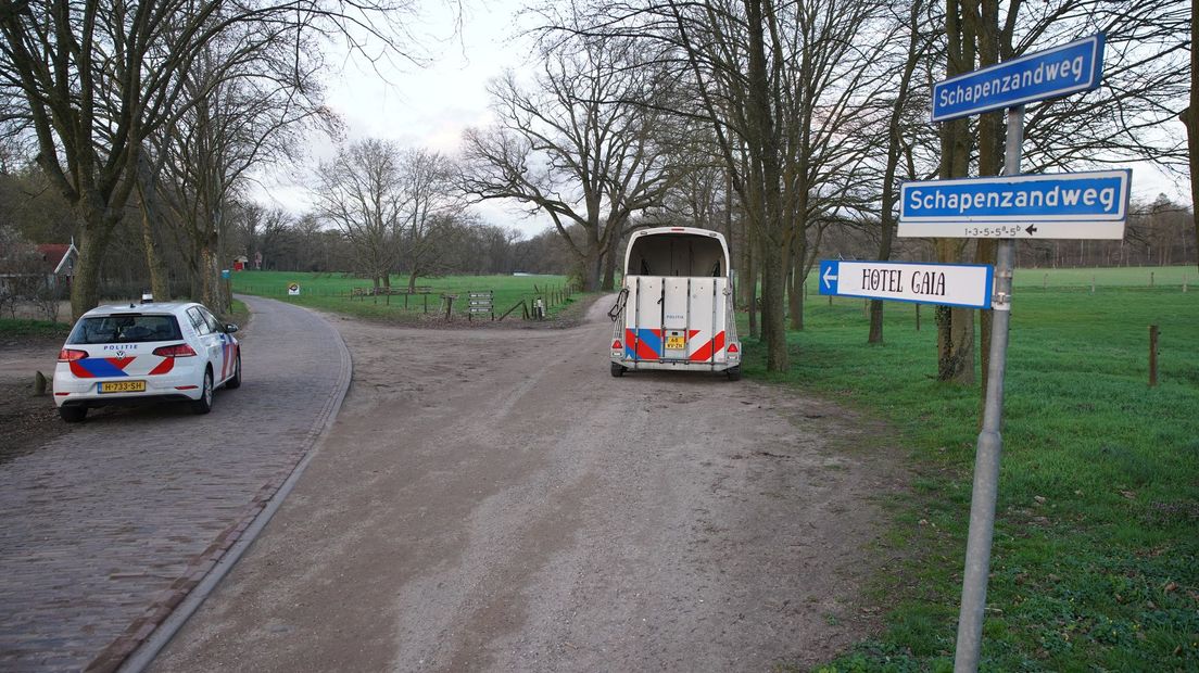 Politie zoekt in de bossen tussen Deventer en Diepenveen naar een vermiste vrouw