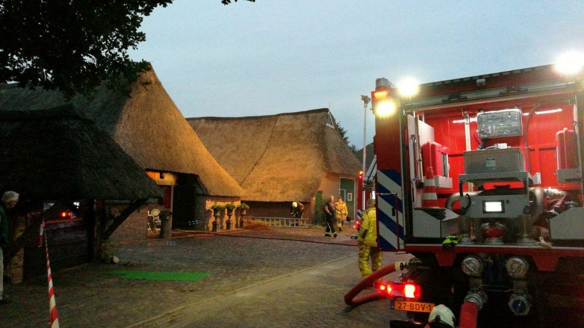 Rietgedekte woning in Hijken gered van brand