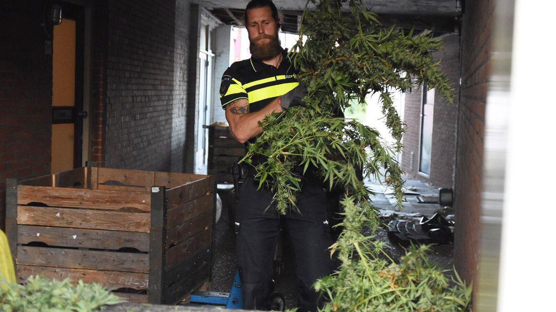 Politie treft hennepkwekerij aan in Emmen (Rechten: De Vries Media)