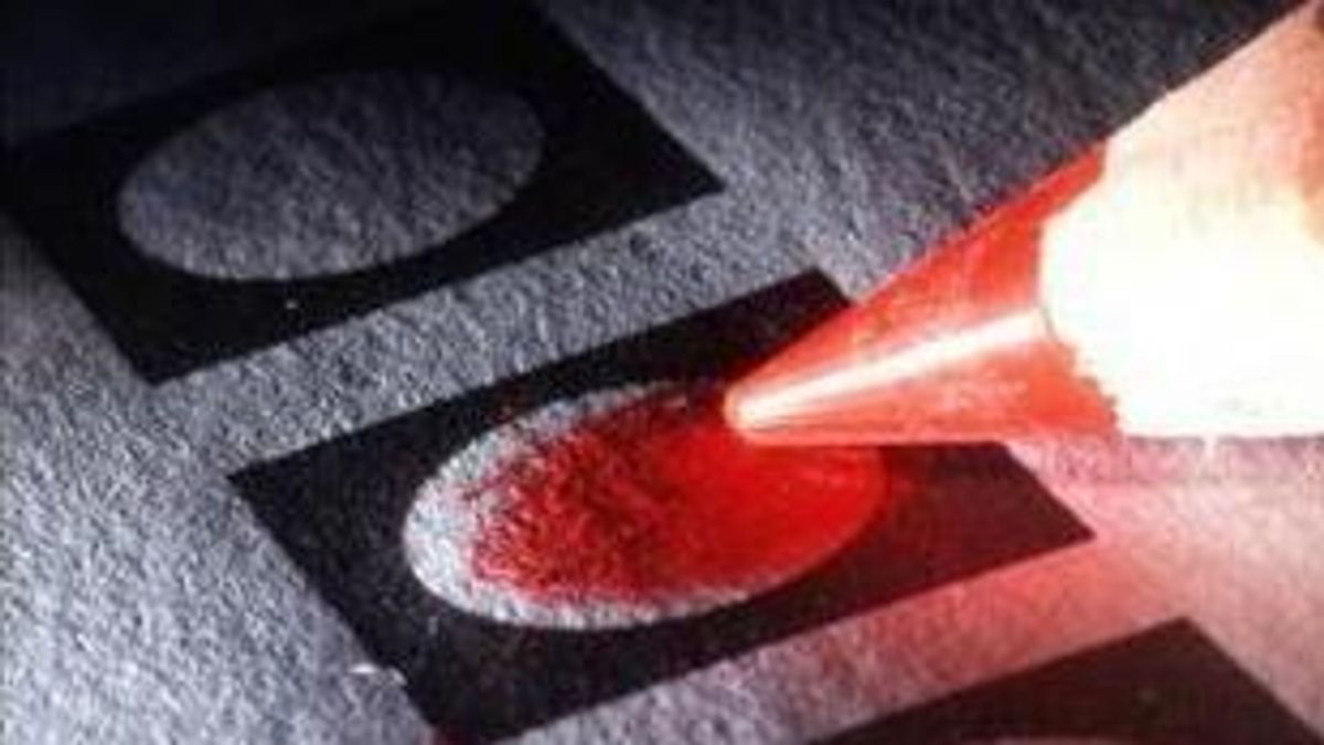 Verkeerde (partij)naam of een andere woonplaats: stembiljetten zijn niet altijd foutloos