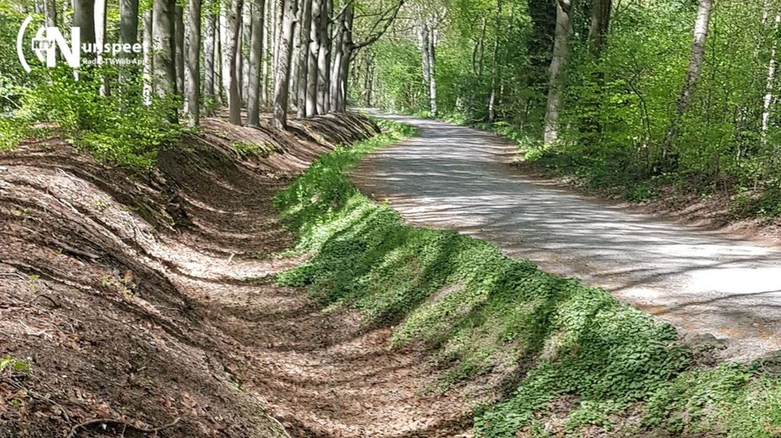 De droogte op veel plekken zichtbaar.