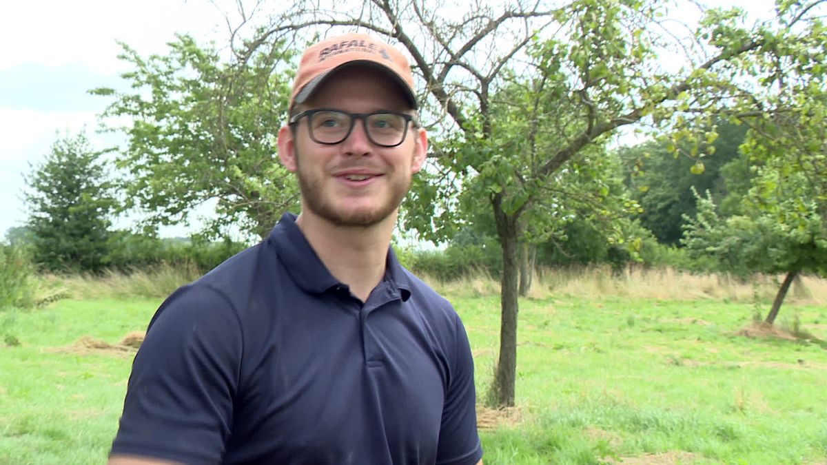 Óngerwaeg deze week in Lomm, Boschpoort...