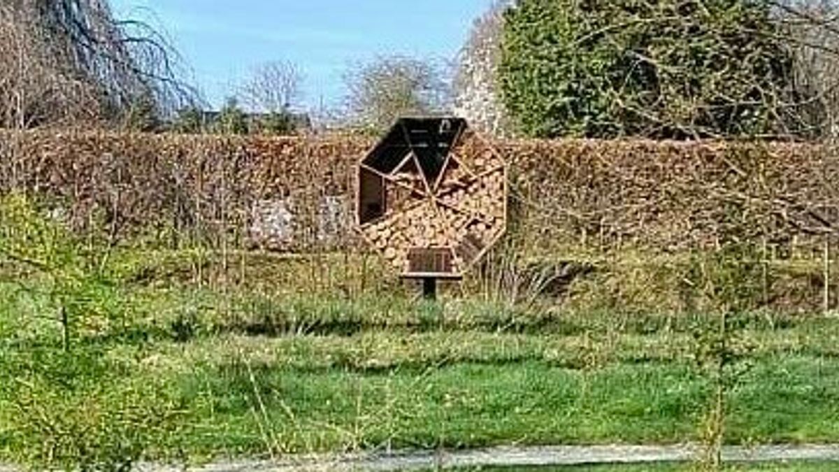 Bijenhuis Augustinusga vernield, dorpsbelang denkt over aangifte