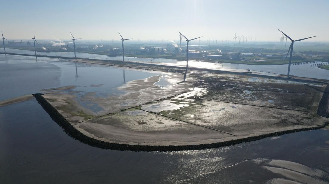 De kunstmatig aangelegde kwelders bij Delfzijl