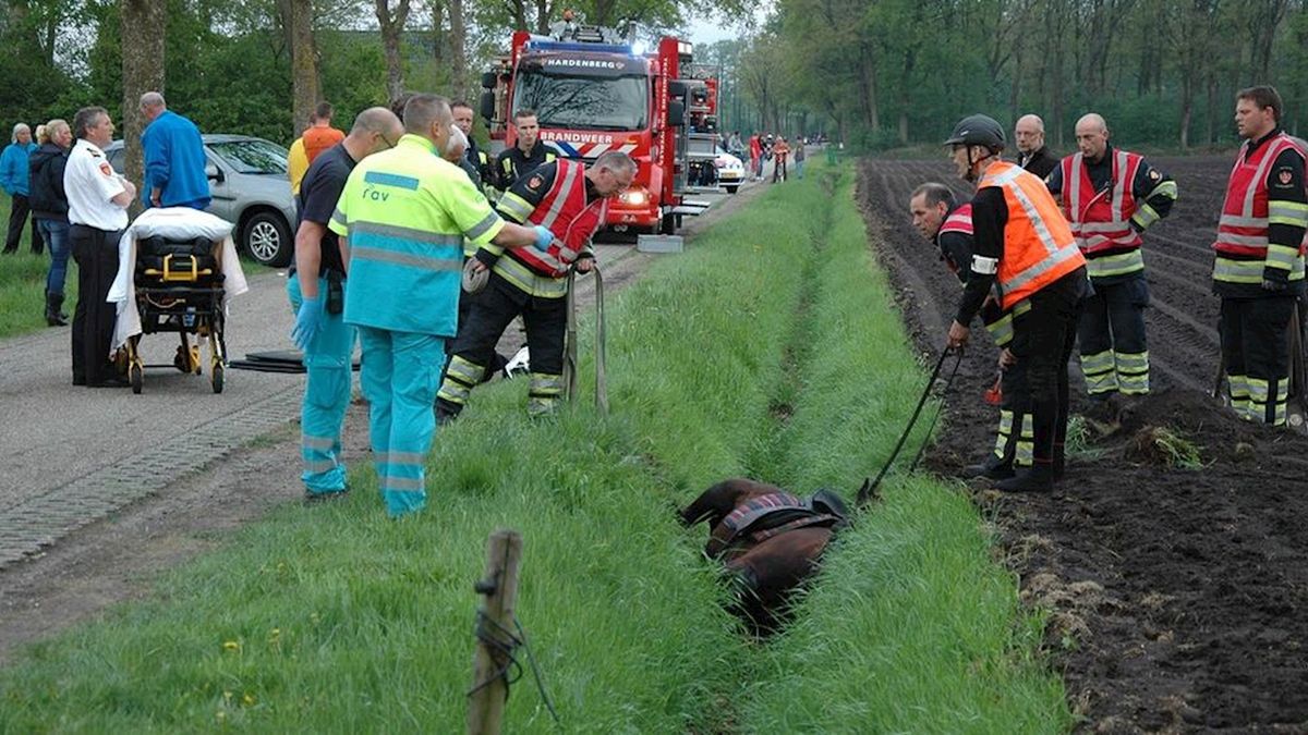 Paard en ruiter vallen in sloot Loozen