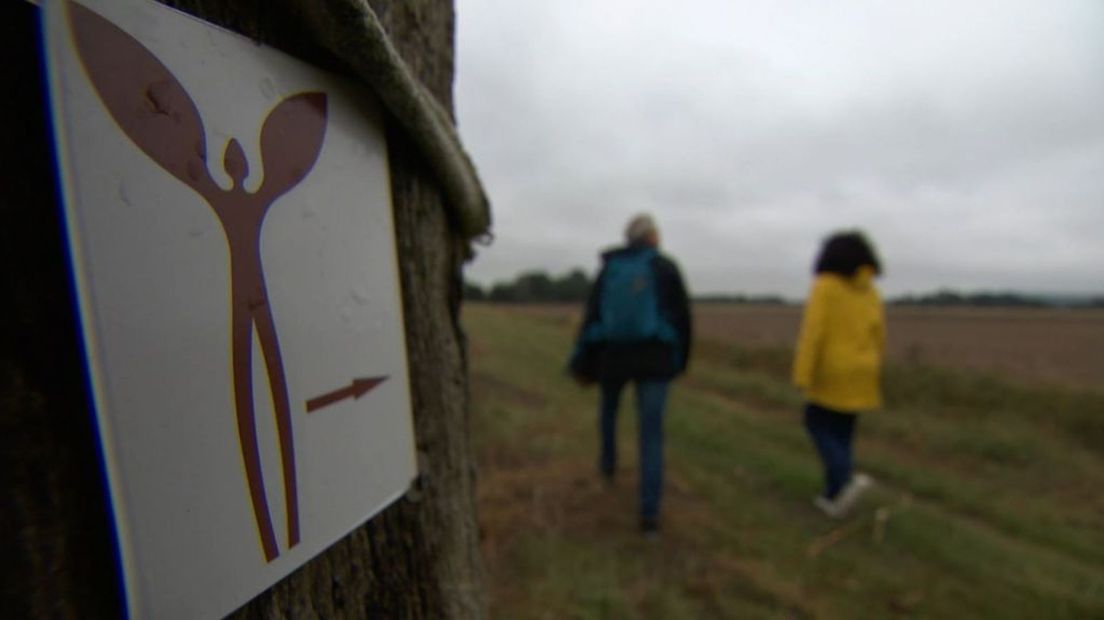 Al wandelend gaat het de goede kant op