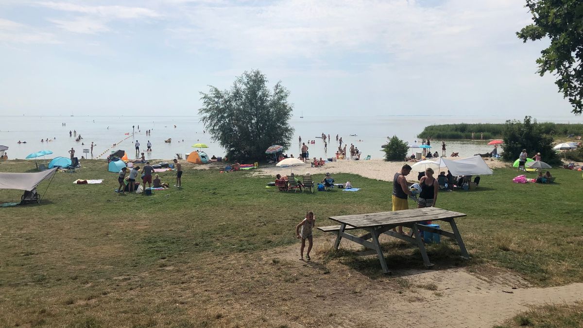 Negatief zwemadvies bij Mirns door darmbacterie in het water