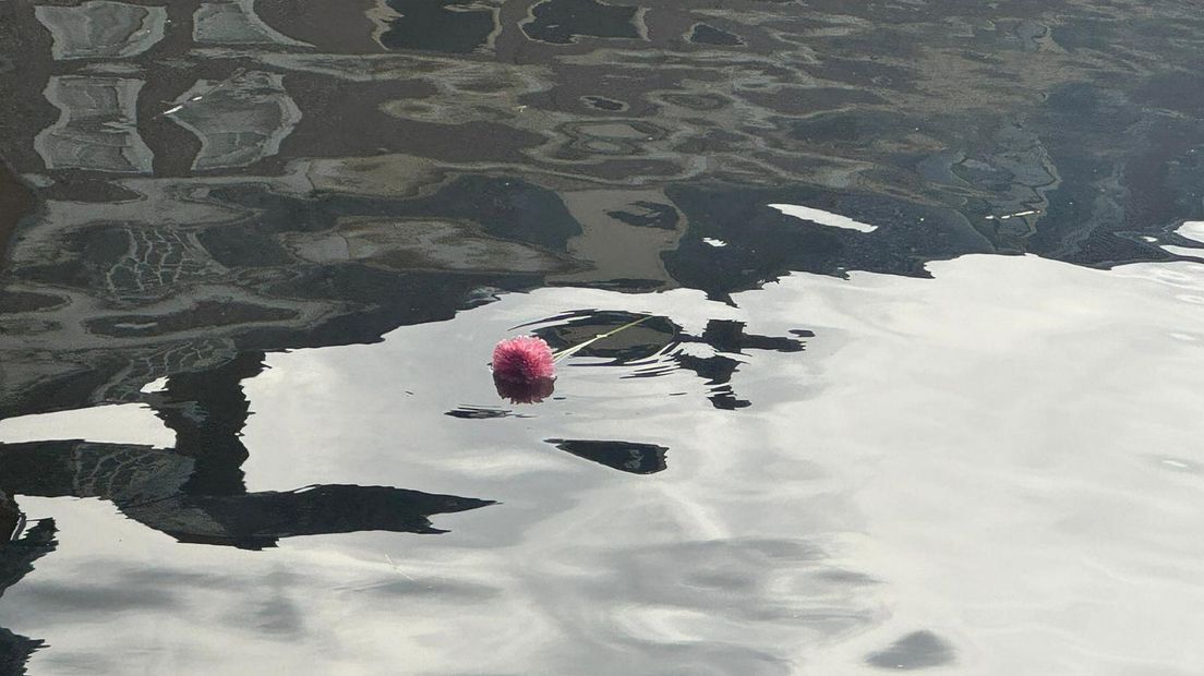 Een bloem drijft in de Rijn waar de man werd gevonden