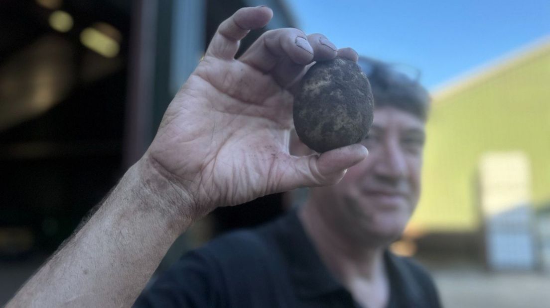 Bert Sloetjes met een aardappel