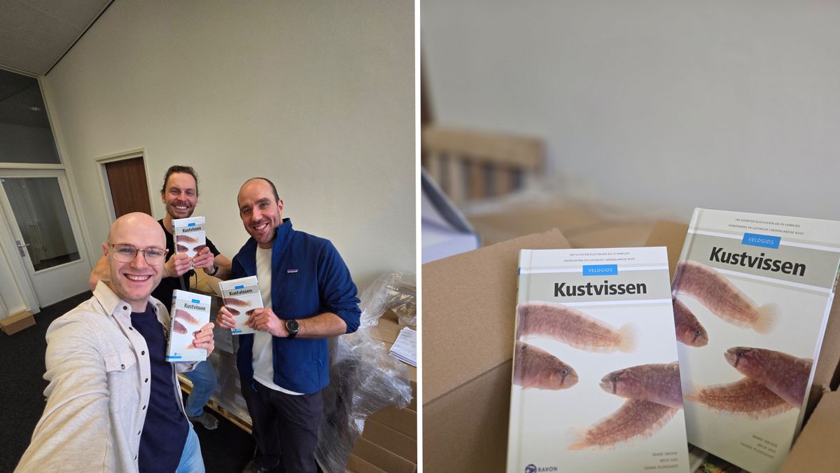 Ook zonder duikbril kun je nu vissoorten herkennen met dit boek