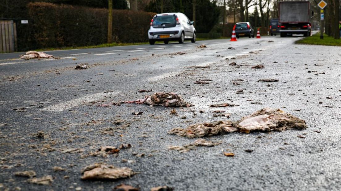 De weg ligt vol slachtafval.