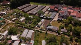 Jonge gezinnen met een volkstuin