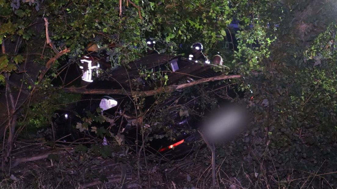 De wagen kwam tussen de bomen tot stilstand
